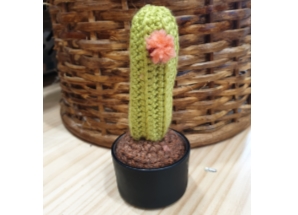 Crochet cacti 1